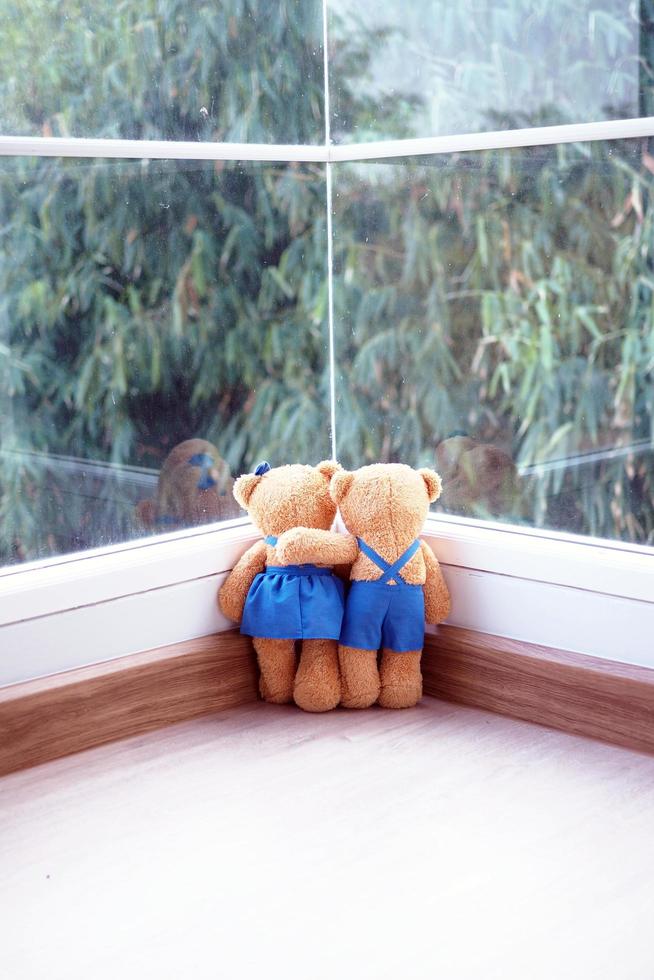 la amistad y la relación de dos osos de peluche se abrazan, mirando la vista del bambú en la ventana. foto