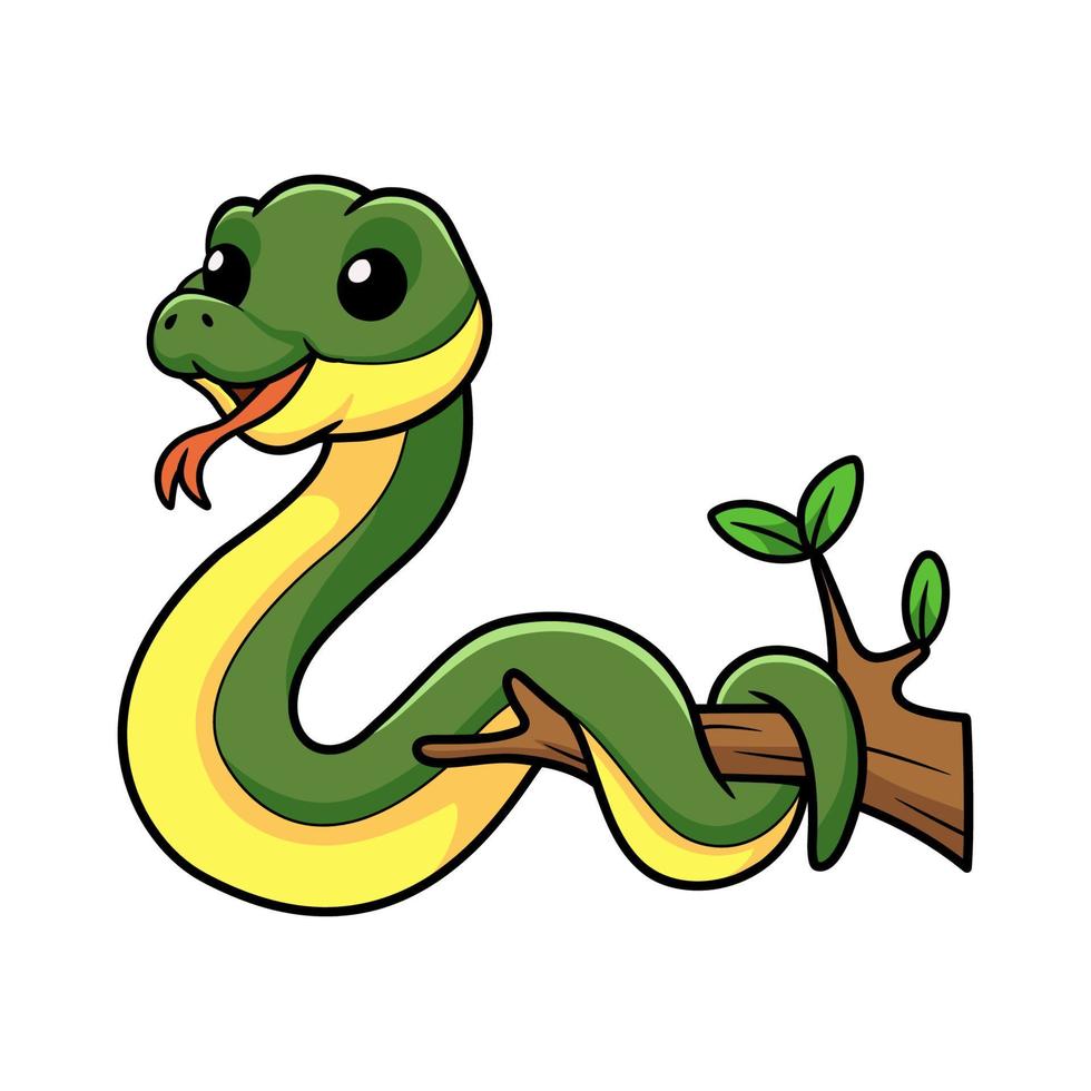Cute easten racer snake cartoon on tree branch vector