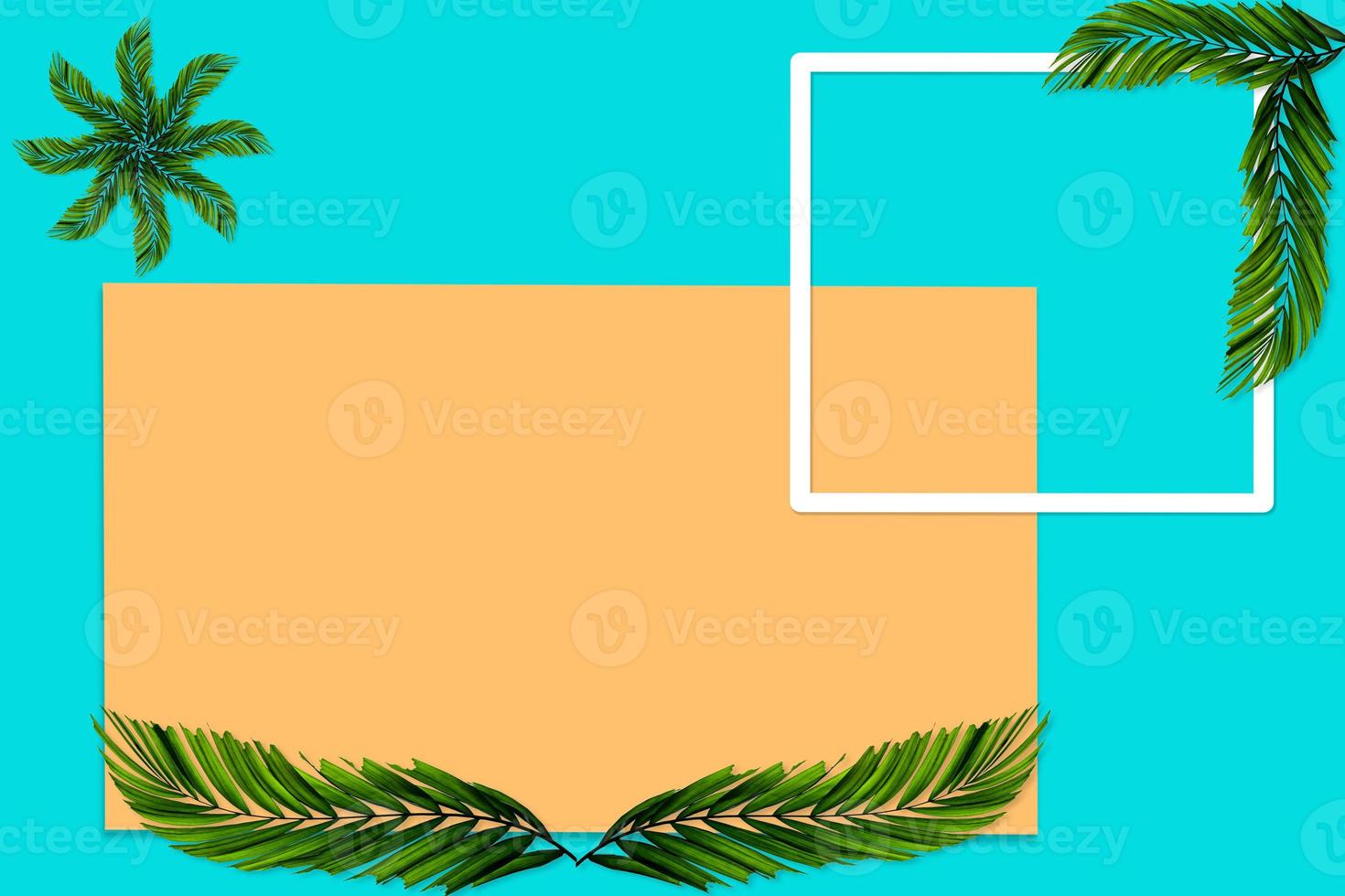 Green palm leaves pattern for nature concept,tropical leaf on orange and teal paper background photo