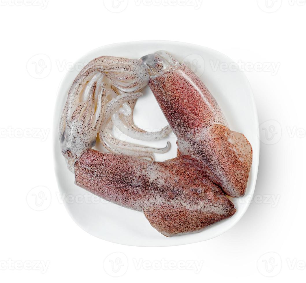 squid on dish isolated on white background  ,include clipping path photo