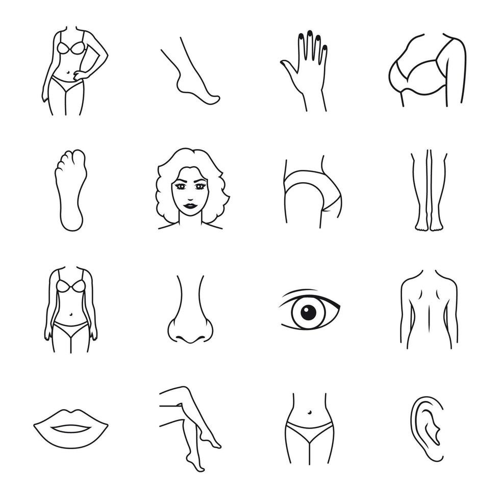 iconos de partes del cuerpo humano. iconos de contorno sobre un fondo blanco vector