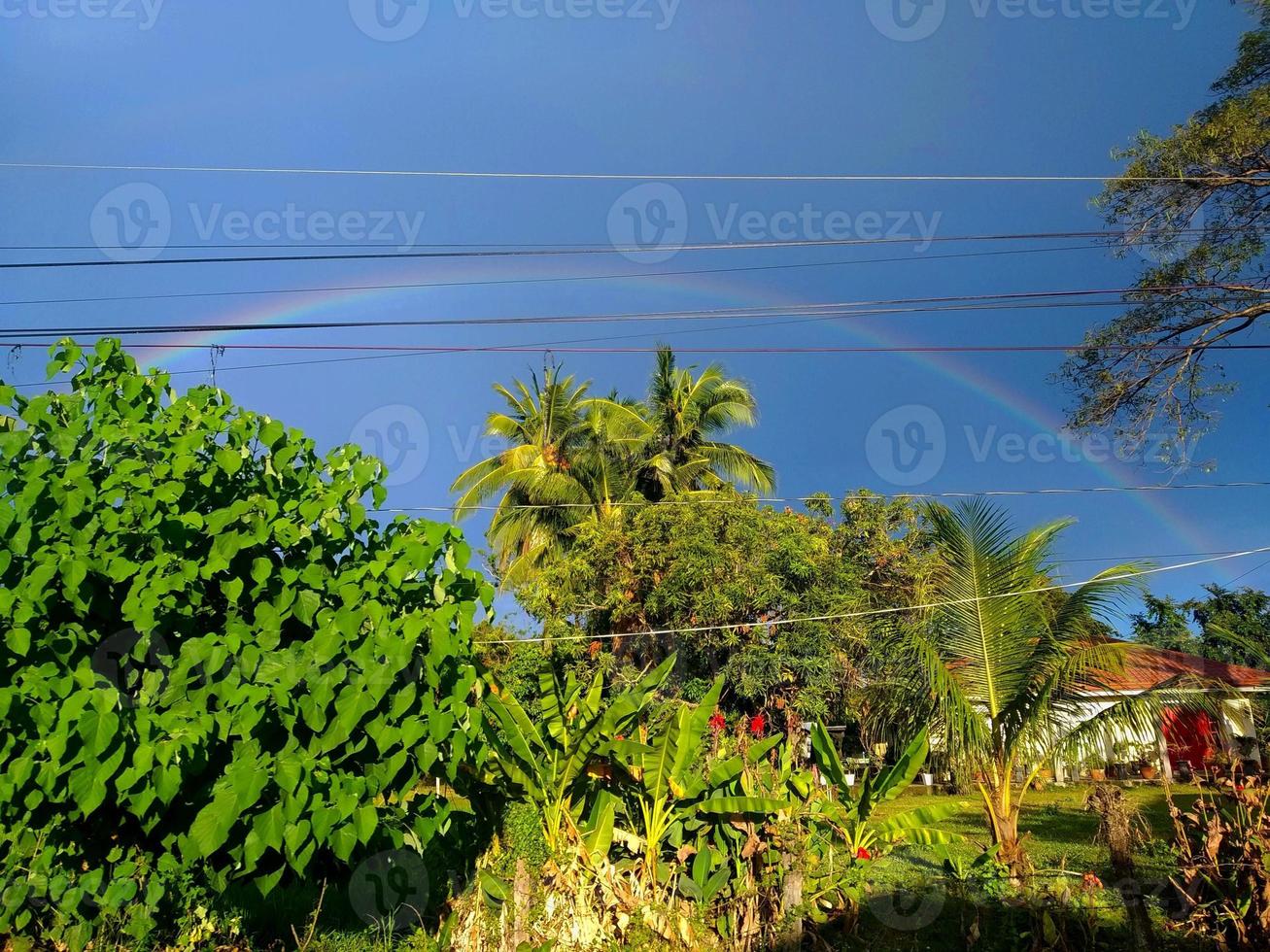 Colorful Rainbow above the trees photo