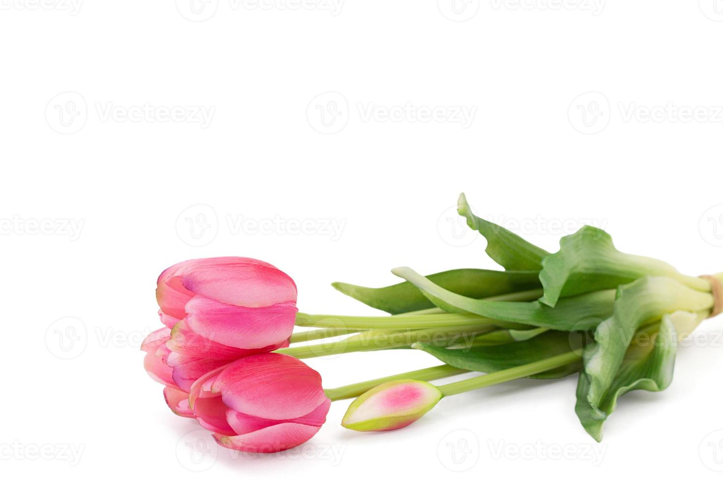 Pink tulips with green leaves lie on white isolated background. Holidays, International women's, mother's day, birthday, March 8. Copy space photo