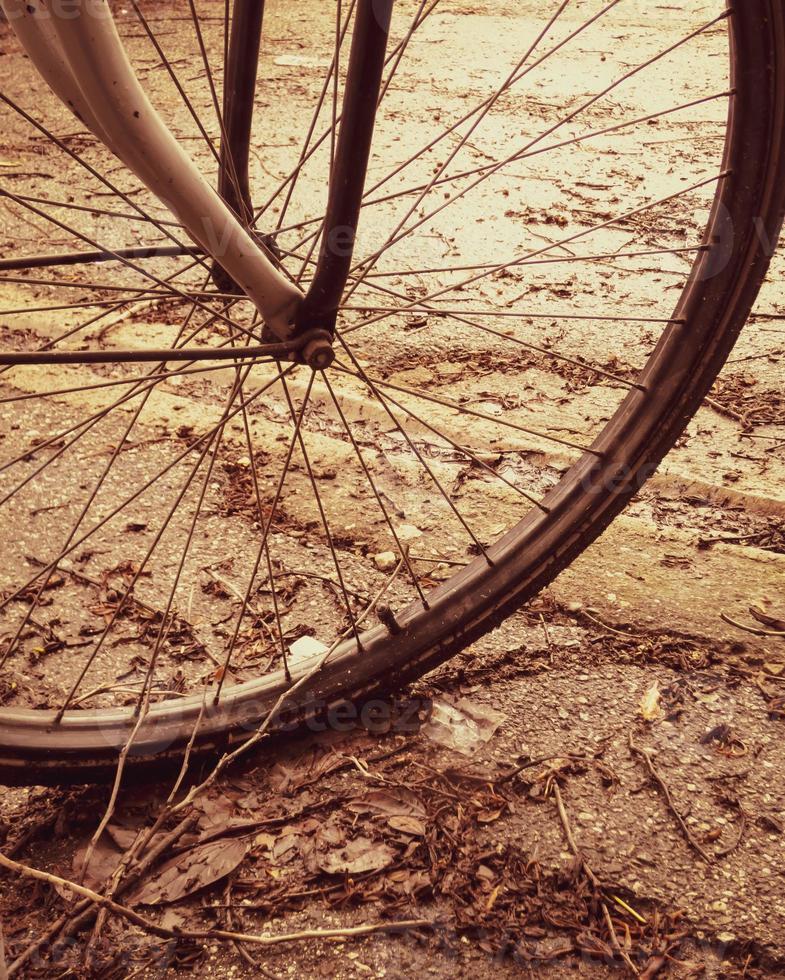 Bike wheel on Sunset photo