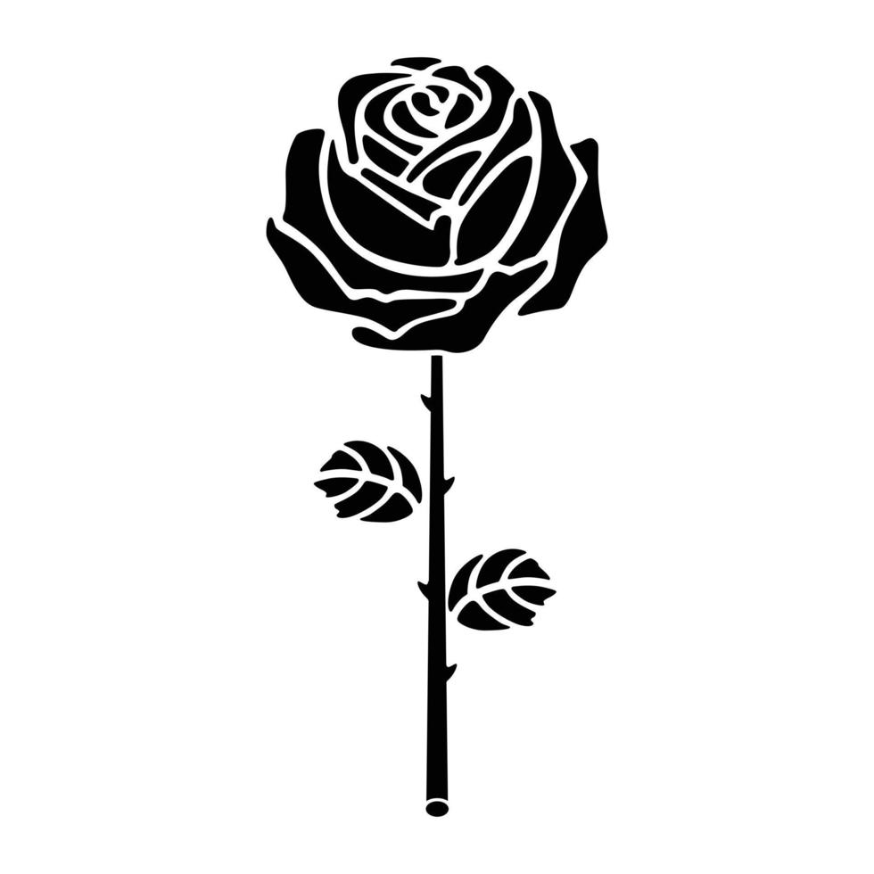 black rose in a white background vector