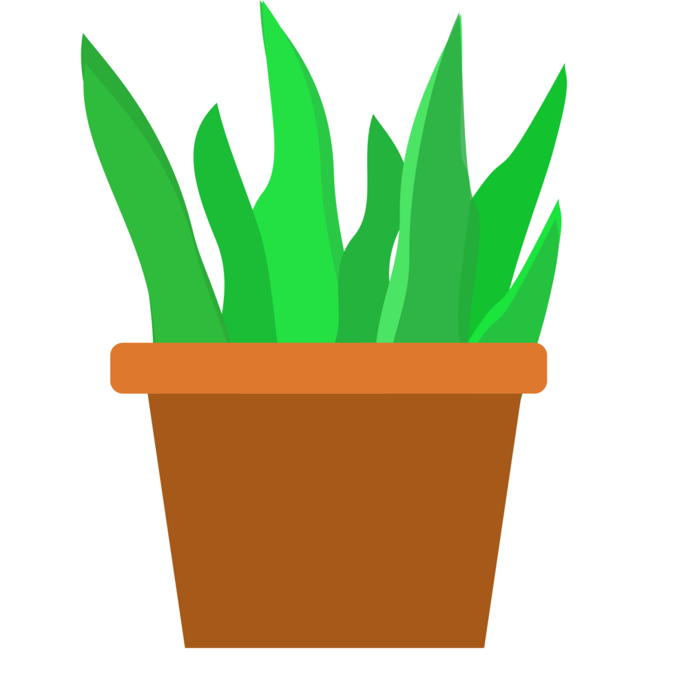 Green potted plant on brown vase transparent background. png