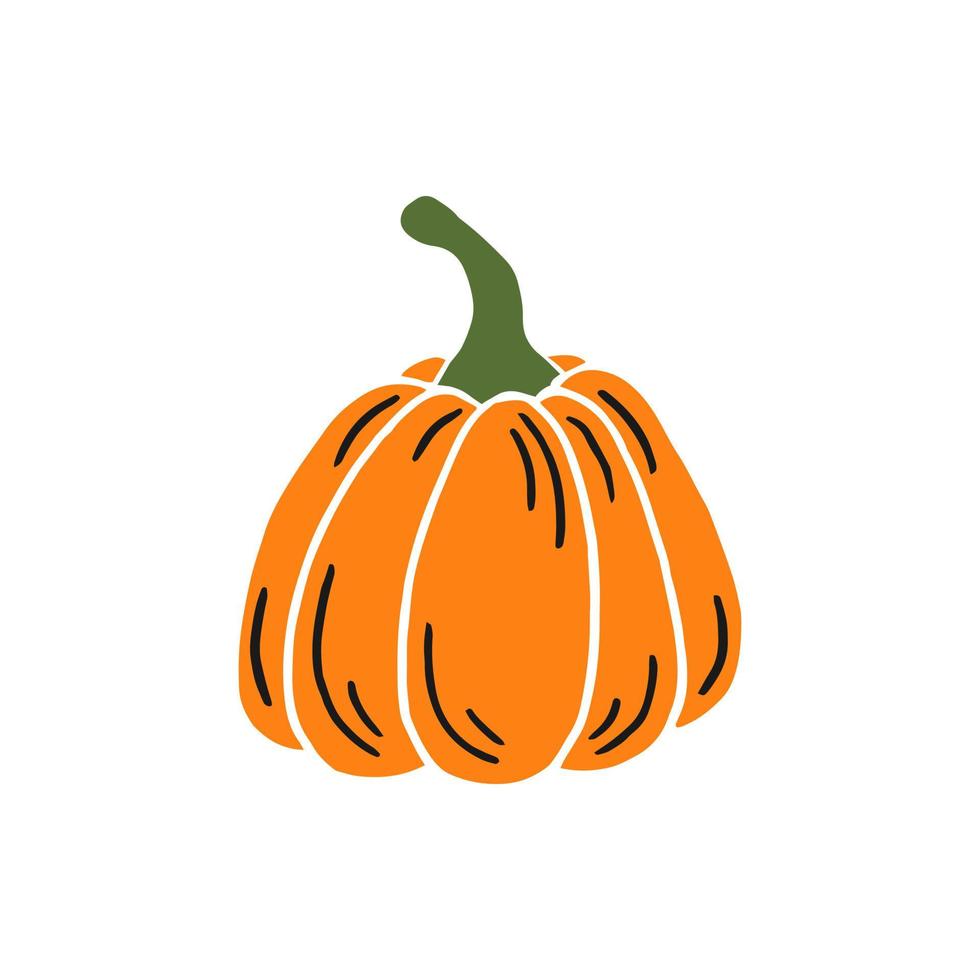 Pumpkin. Thanksgiving and Halloween Elements. Hand drawn vector illustration.