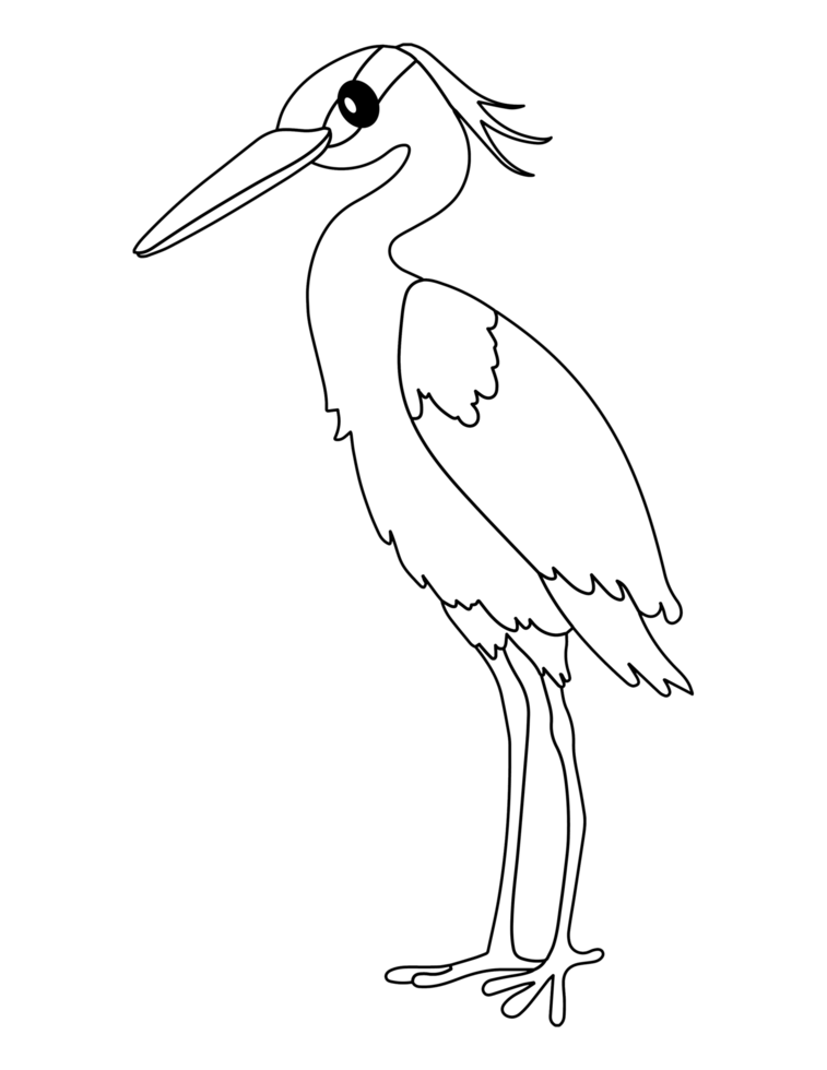 Free tall heron bird 18794877 PNG with Transparent Background