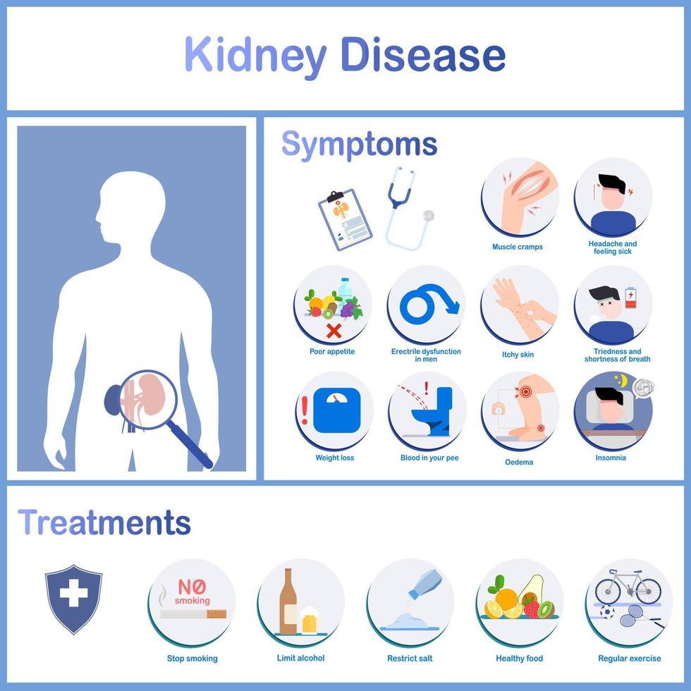 Infographics of various symptoms of kidney disease and treatments. Headache, insomnia, erectile dysfunction in males, edema and weight loss. Health care concept.vector illustration.flat style vector