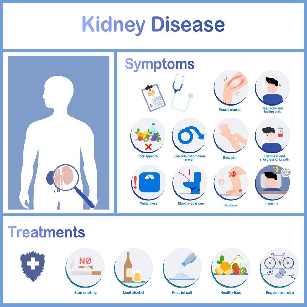 infografías de varios síntomas de enfermedad renal y tratamientos. dolor de cabeza, insomnio, disfunción eréctil en hombres, edema y pérdida de peso. cuidado de la salud concept.vector illustration.flat estilo vector