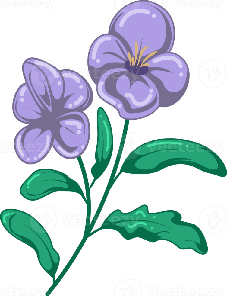 ilustración de flor de nacimiento de mes de febrero violeta png