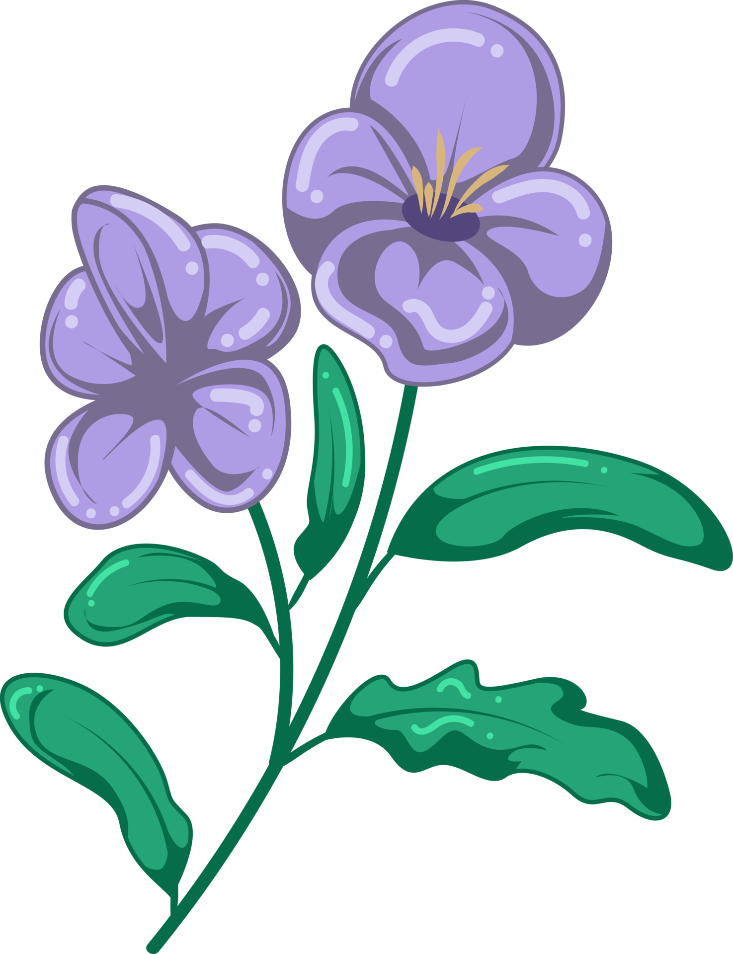 february-flower-images