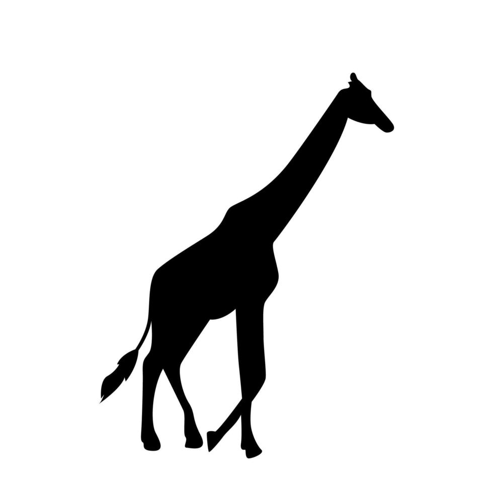 Vector silhouette of a giraffe. giraffe vector. giraffe vector silhouette. giraffes silhouette.