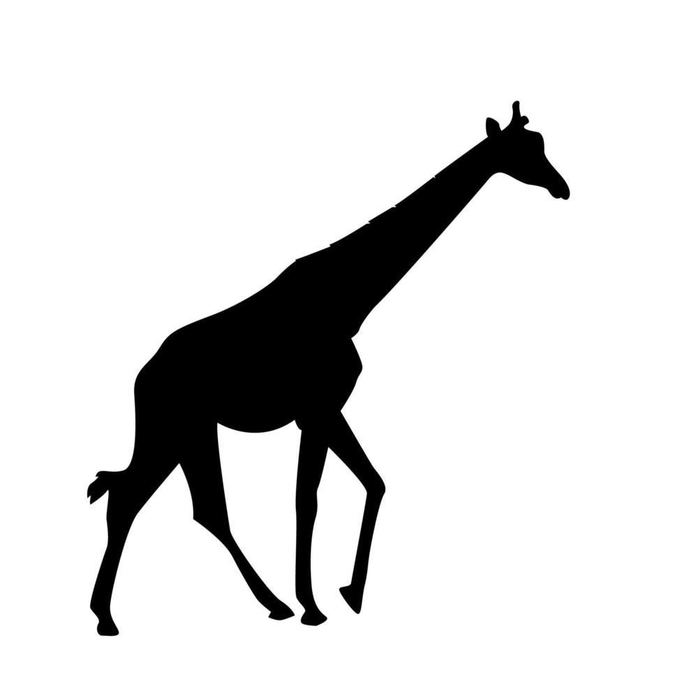silueta vectorial de una jirafa. vector de jirafa silueta vectorial de jirafa. silueta de jirafas.