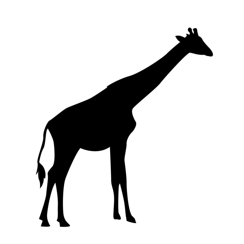 Vector silhouette of a giraffe. giraffe vector. giraffe vector silhouette. giraffes silhouette.