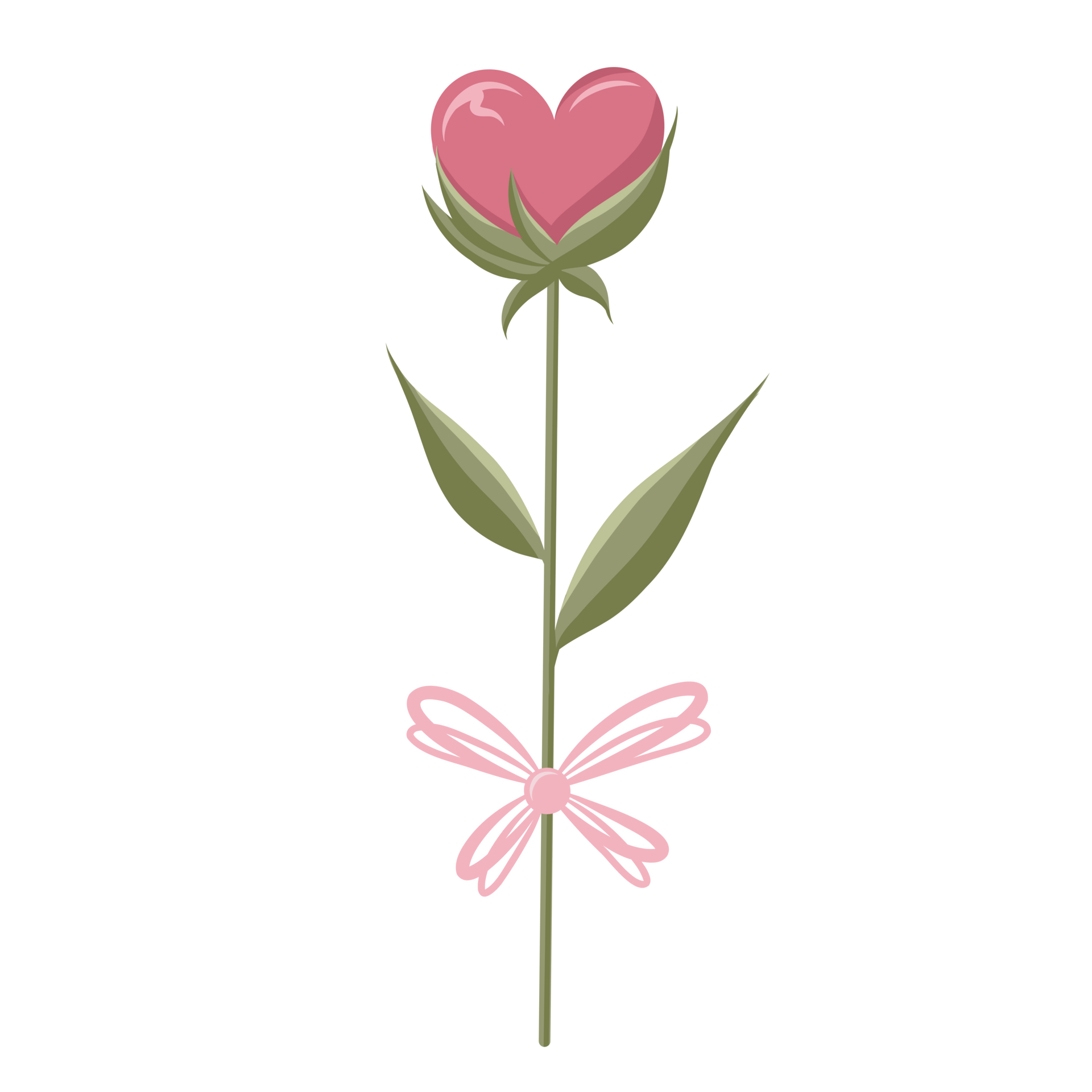 Heart shaped rose with ribbon isolated on transparent background. A