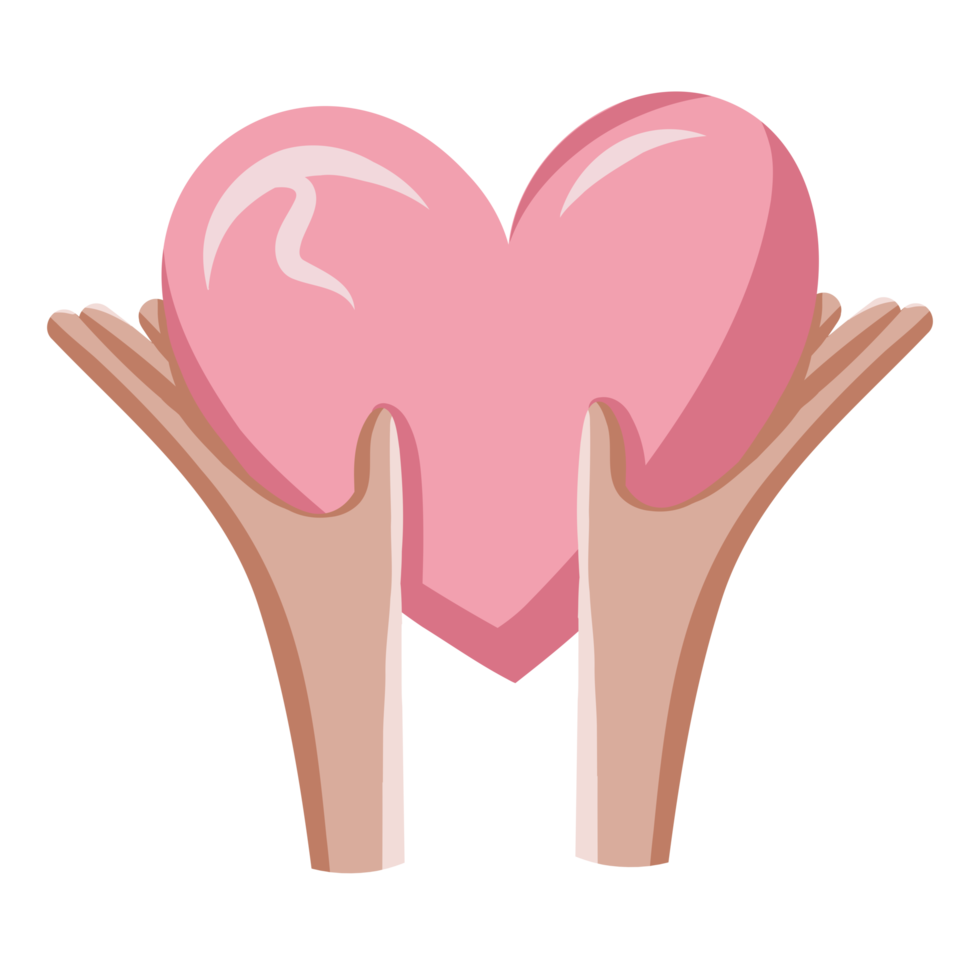 zwei hände, die ein rosa herz halten, das auf transparentem hintergrund lokalisiert wird. Valentinstag-Symbol. png