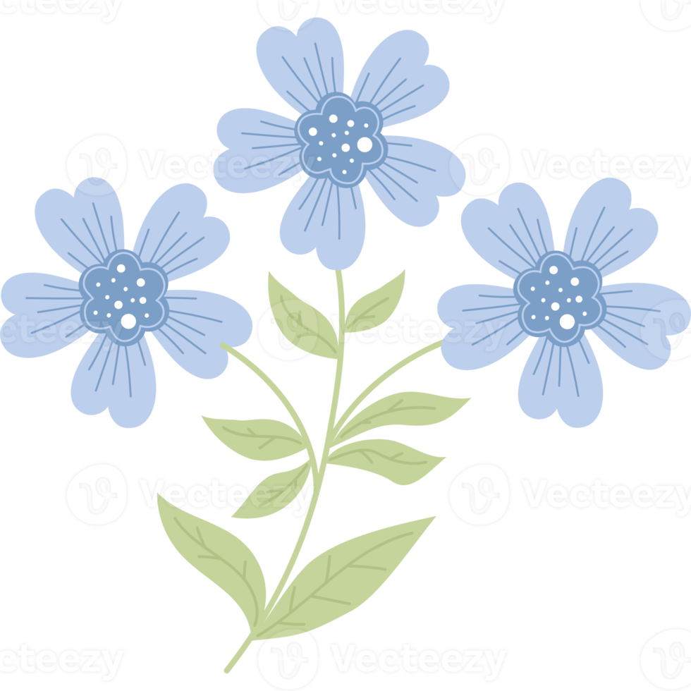 Bouquet  blue cornflowers png