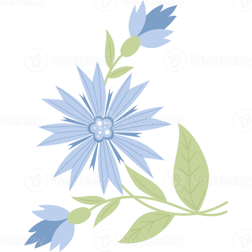 Afdeling blauw korenbloemen png