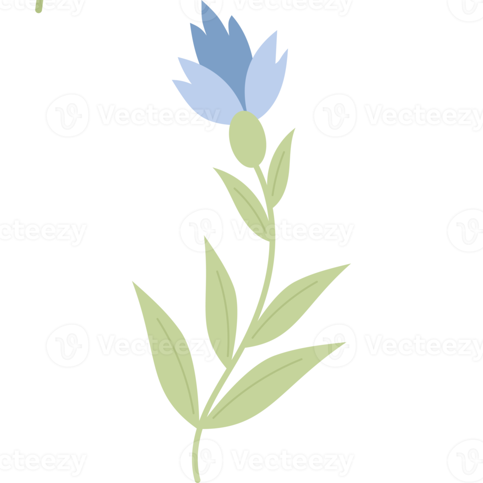 blå blomma med löv png