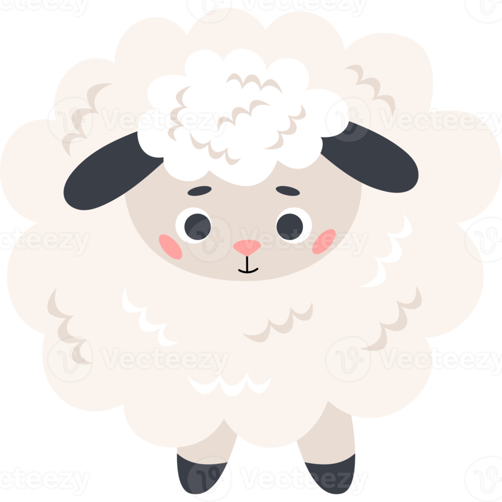 Cute animal. sheep png