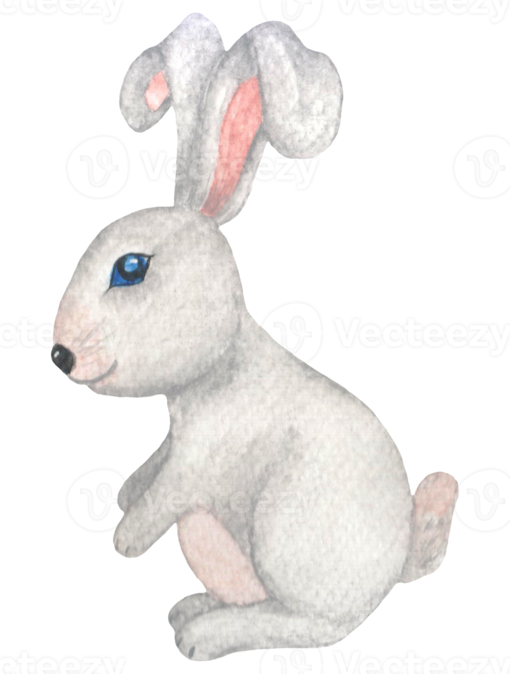 Watercolor gray rabbit, year of the rabbit, easter bunny with blue eyes png
