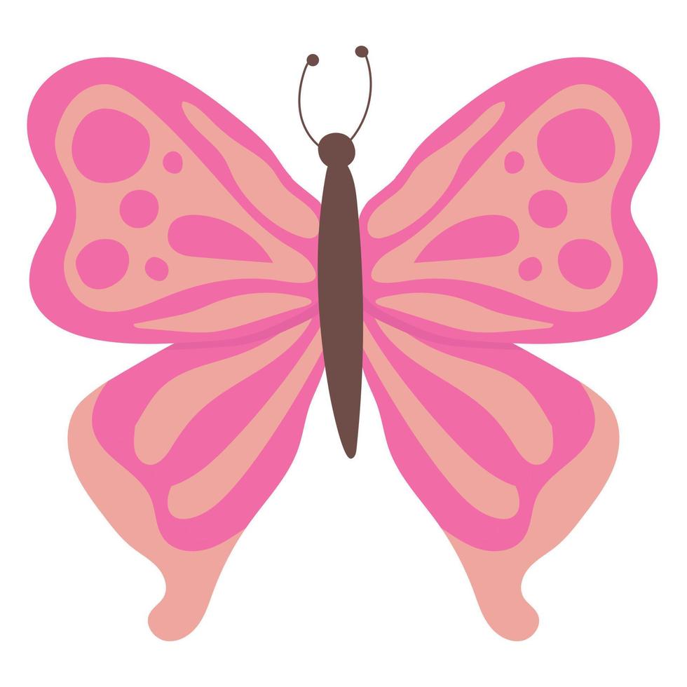 mariposa mariposa colorida aislada, hermosa ilustración de mariposa. ilustración vectorial vector