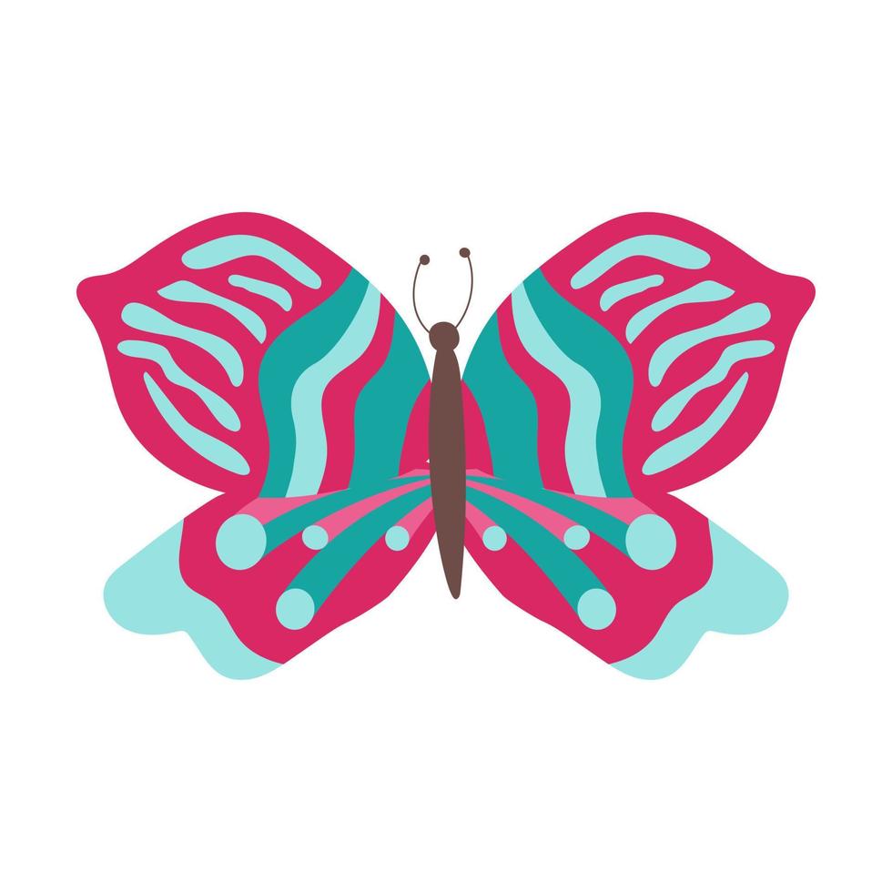 butterfly Colorful Butterfly isolated, Beautiful Butterfly illustration. Vector illustration