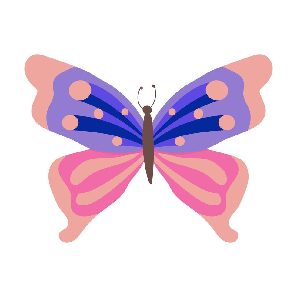 butterfly Colorful Butterfly isolated, Beautiful Butterfly illustration. Vector illustration