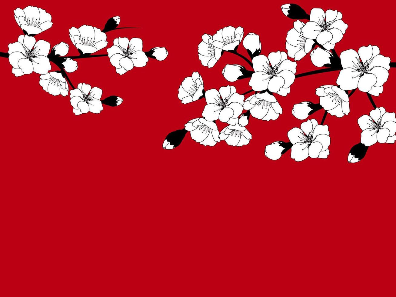 Branch of beautiful seasonal white cherry blossom on red background. Vector illustration