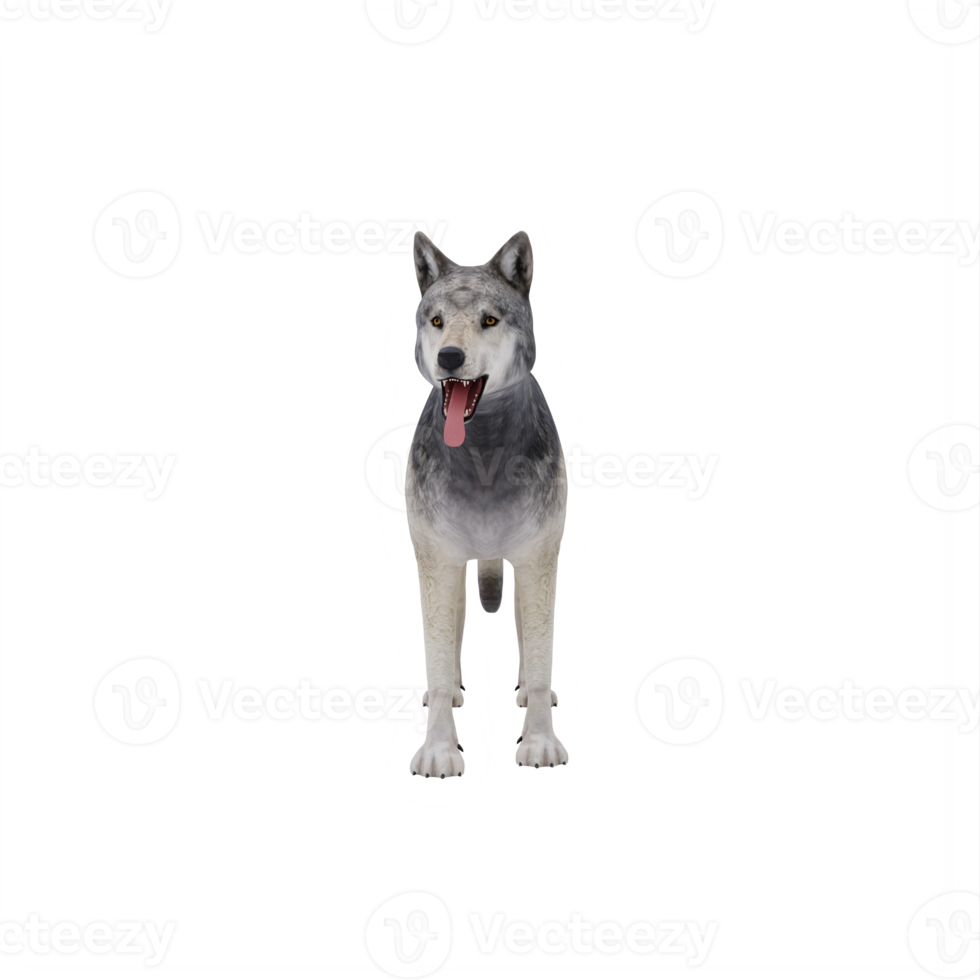 3d wild wolf isolated png