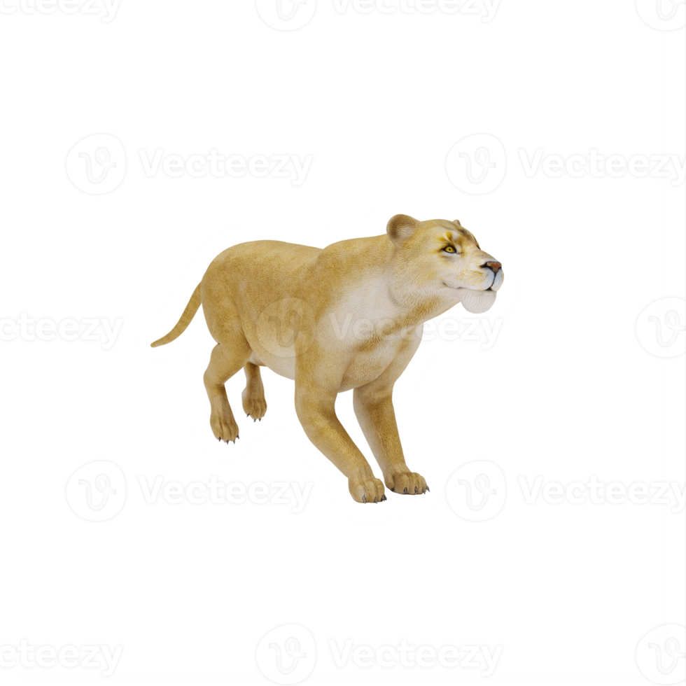 3d Lioness isolated png