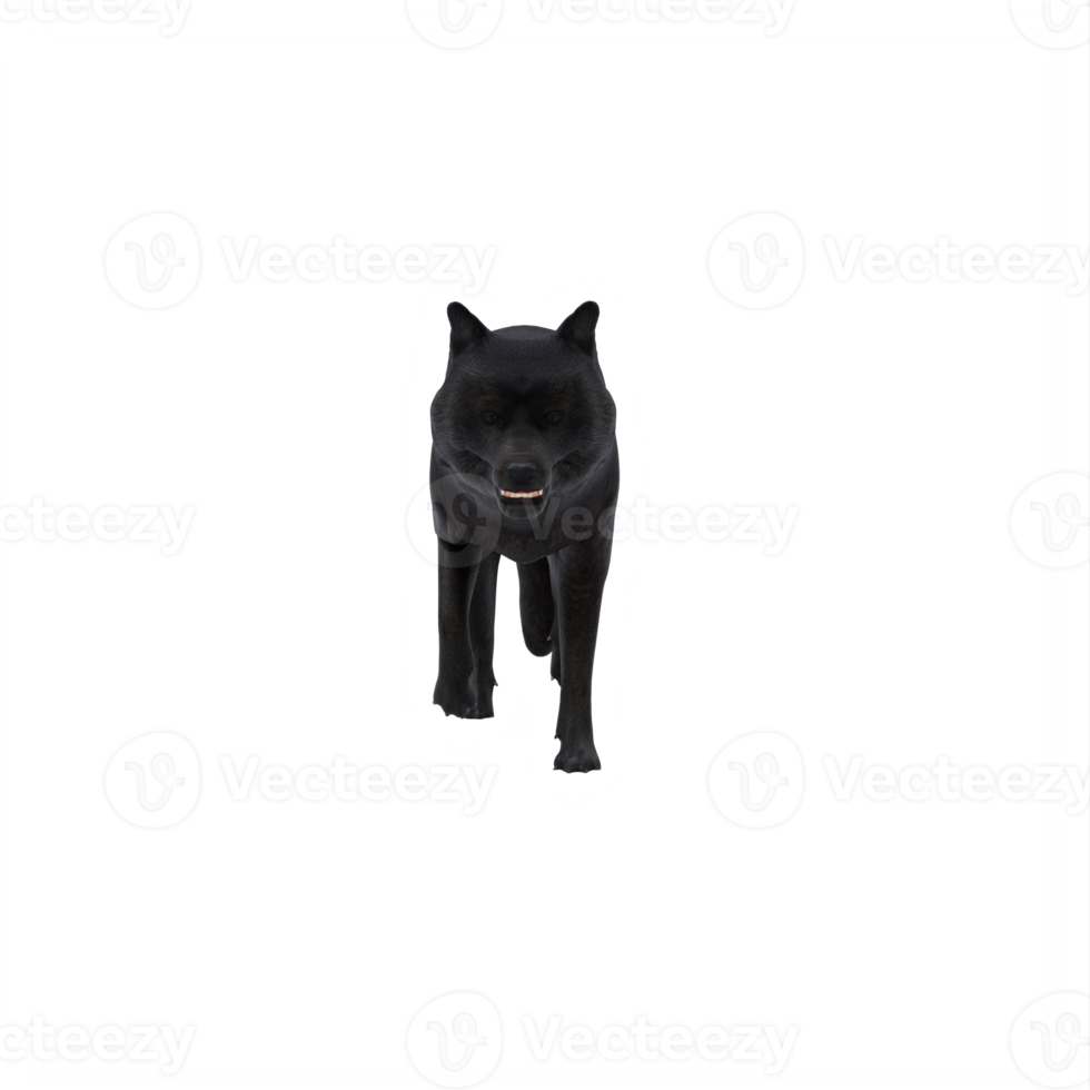 3d black WOLF isolated png