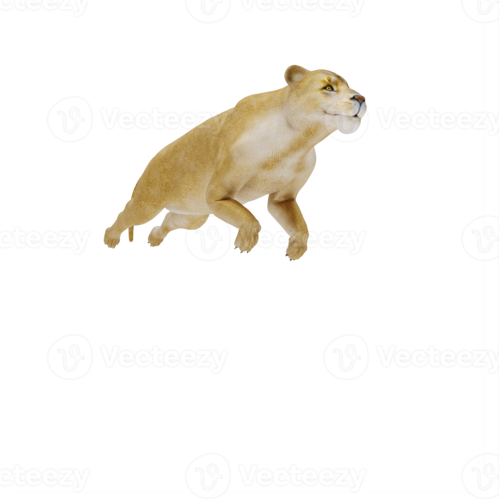 3d Lioness isolated png