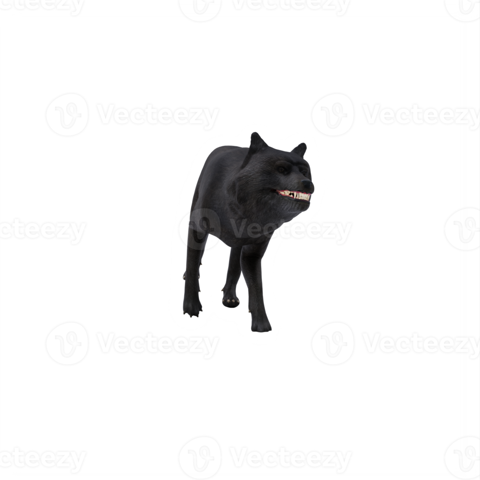 lobo negro 3d aislado png