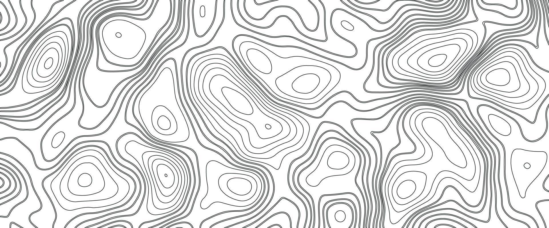 Abstract Blank Detailed Topographic Contour Map Subtle White Vector Background. Geographic topographic map grid. Line map with elevation. Topographic Cartography. Topographic Map. Topographic Relief.