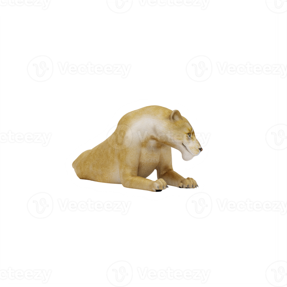 3d Lioness isolated png