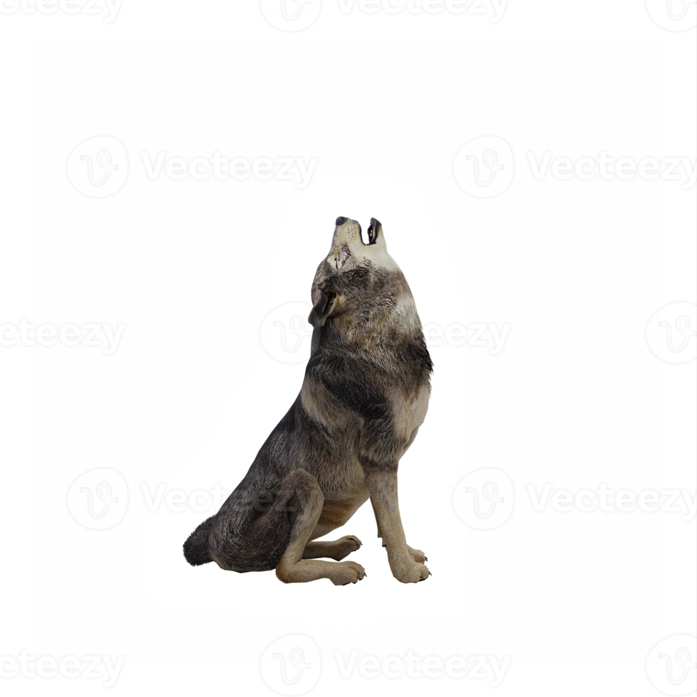 3d timber wolf isolated png