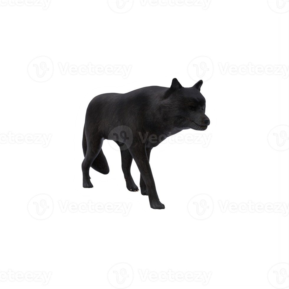 3d black WOLF isolated png