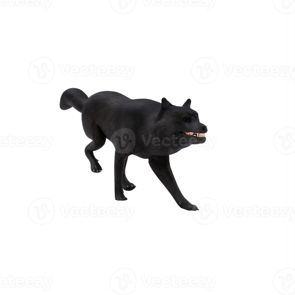 3d black WOLF isolated png