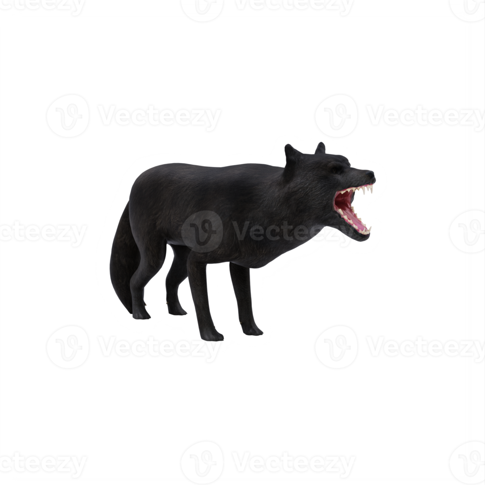 lobo negro 3d aislado png