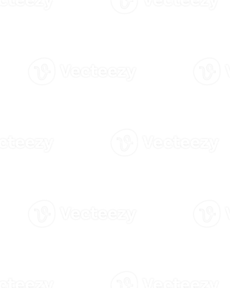 line art tropical leaves. png