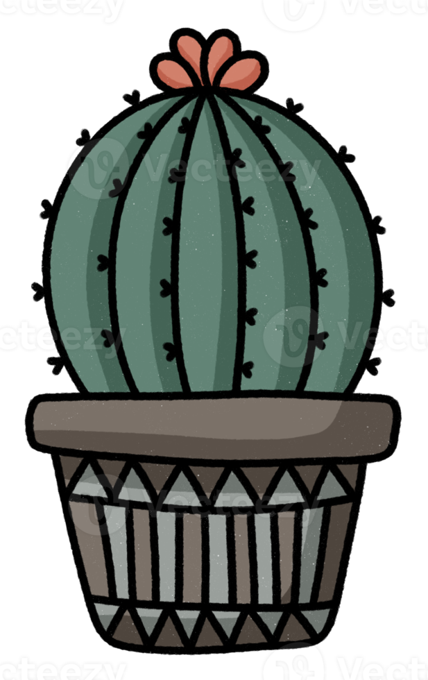 lindo cactus en el icono de la olla. png