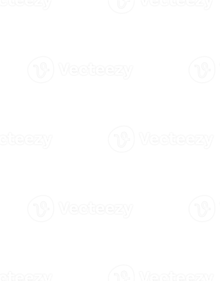 line art tropical leaves. png