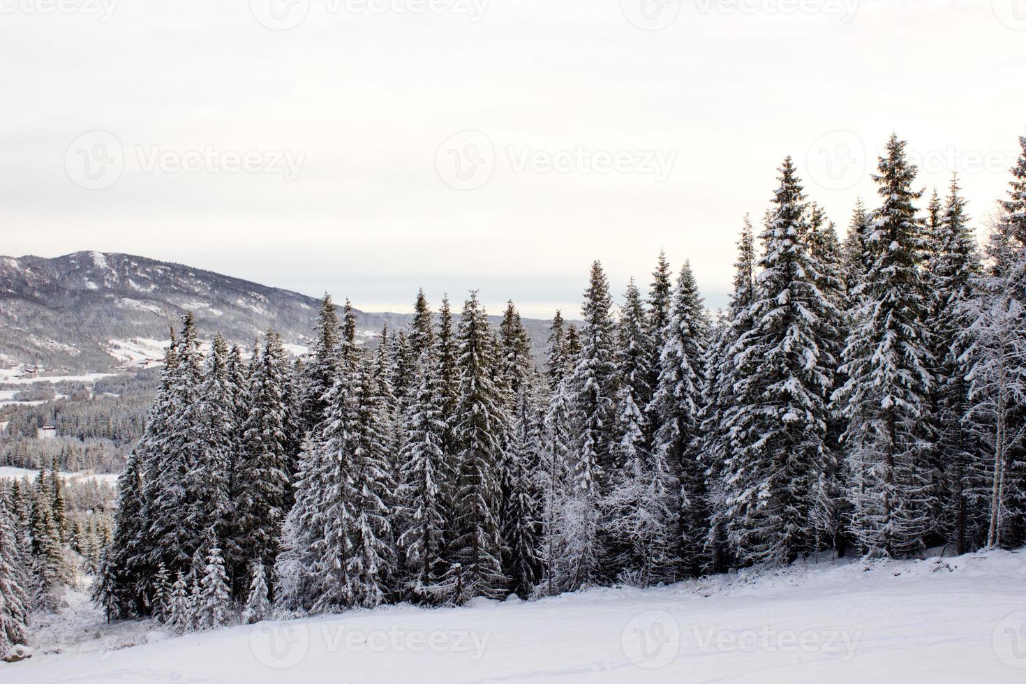 Beautiful norwegian winter landscape from ski slope on valley of Hemsedal Buskerud Norway,seasonal postcard,wallpaper,print for canvas,cover design photo