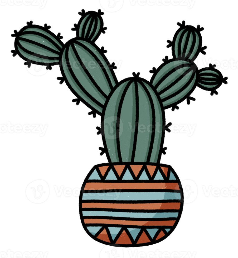 Cute cactus in pot icon. png