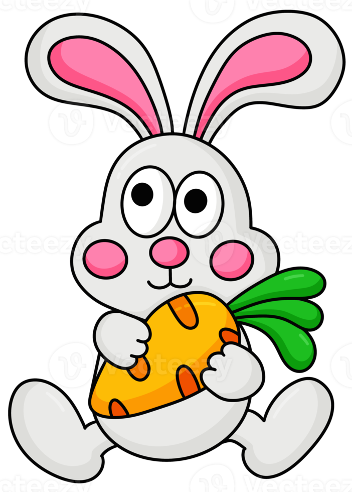 Cute white rabbit holding a carrot png