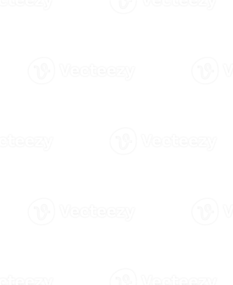 line art tropical leaves. png