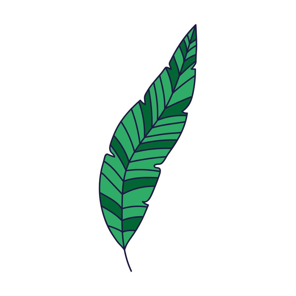 icono de hoja tropical vector