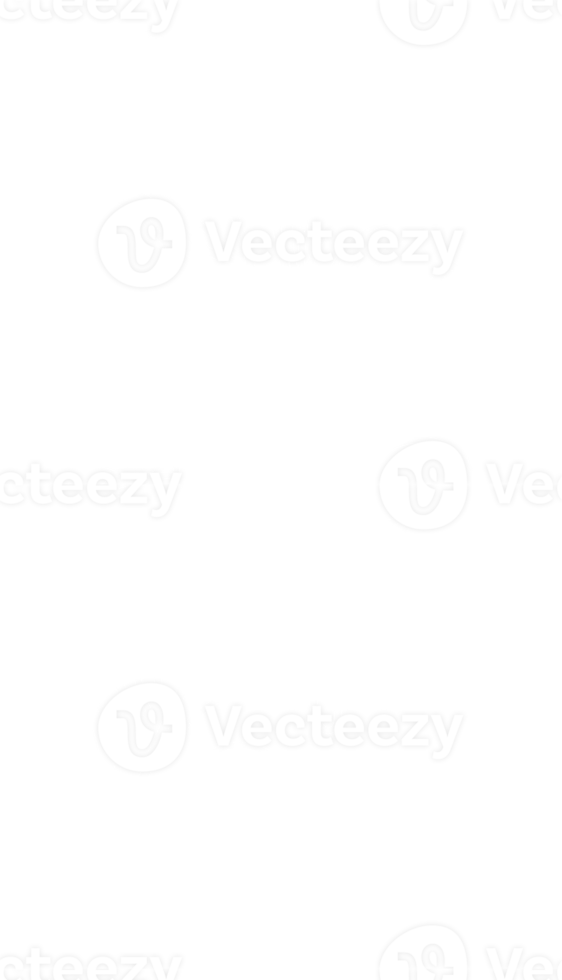 line art tropical leaves. png